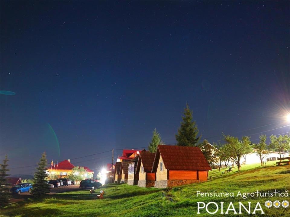 פויאנה נגרי Pensiunea Agroturistica Poiana מראה חיצוני תמונה